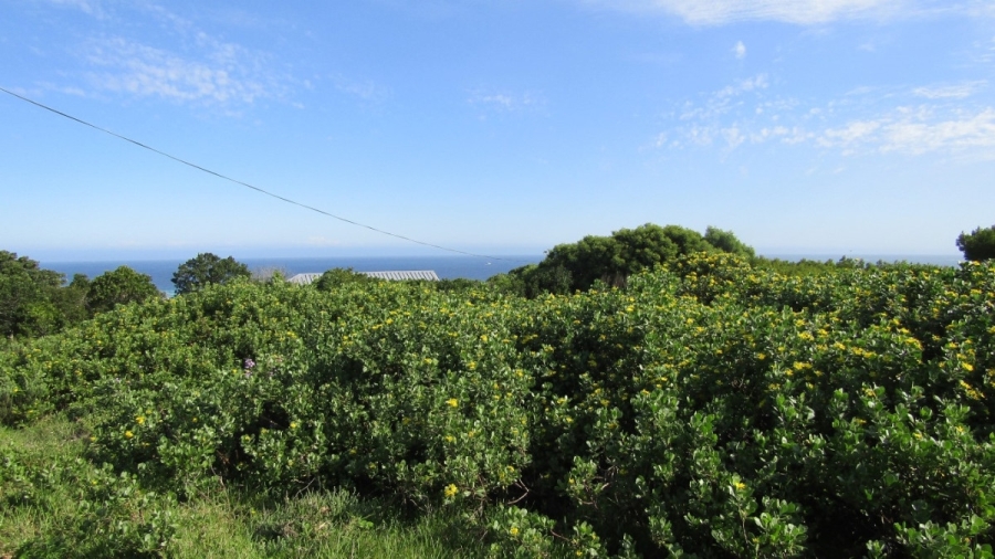 0 Bedroom Property for Sale in Oyster Bay Eastern Cape